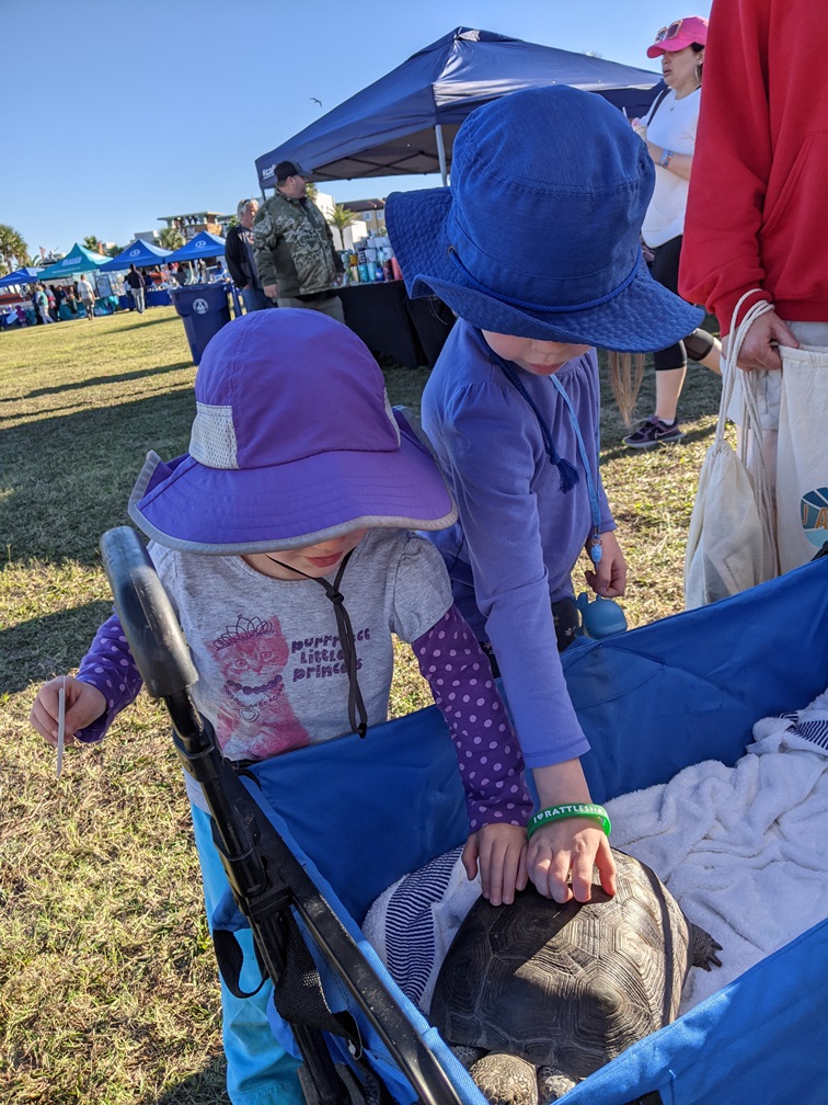 FIRE Travel Family - Florida - Verity & Kyra's First Gopher Tortoise at Right Whale Festival - Financial Independence - Retire Early - Early Retirement