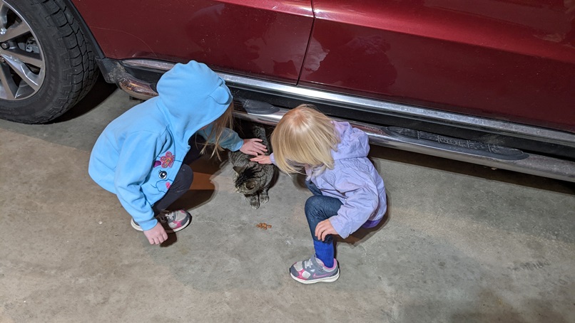 FIRE Travel Family - 2021-12-18 - Petting & Feeding Cats at NaNa's, Boscobel (WI) - Brock, Becky, Kyra, Verity - Financial Independence - Retire Early - Where We Live When We Come Back Home